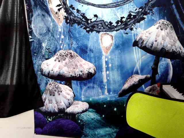 stormythunder webcam