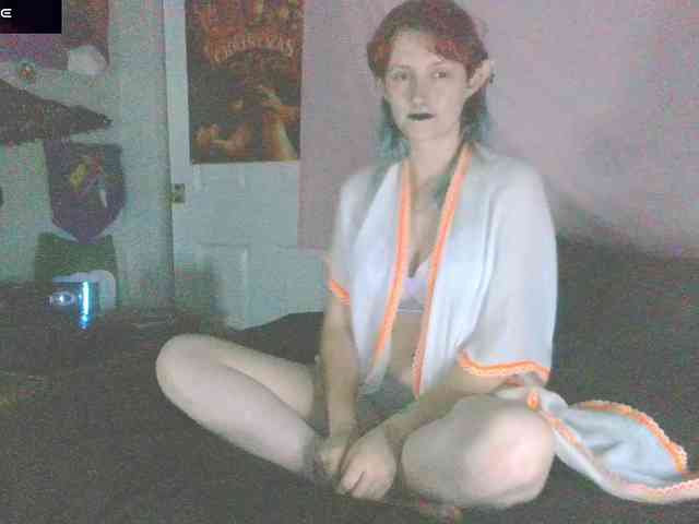stormythunder webcam