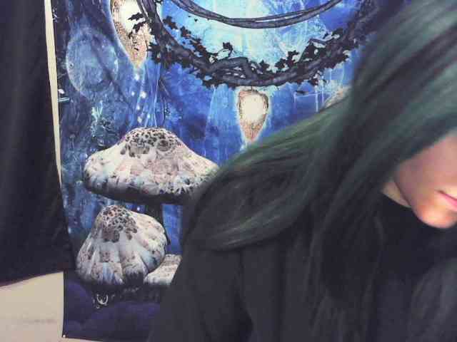 stormythunder webcam