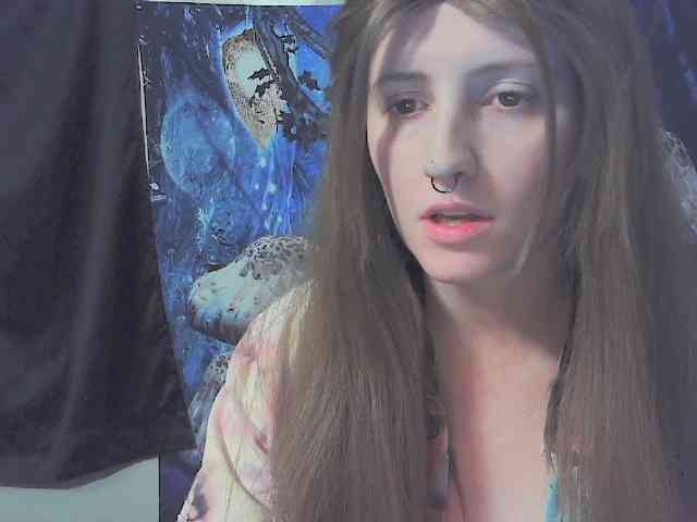 stormythunder webcam