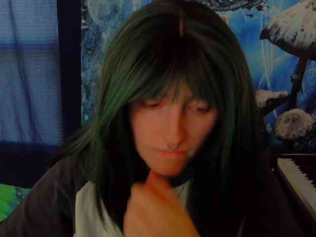 stormythunder webcam