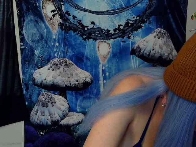 stormythunder webcam