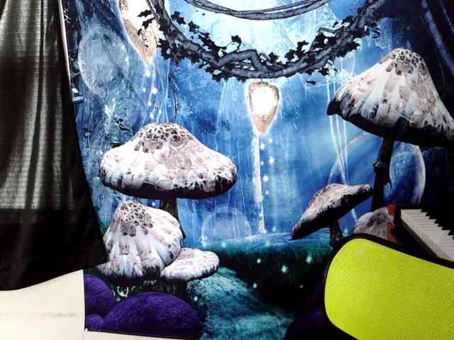 stormythunder webcam