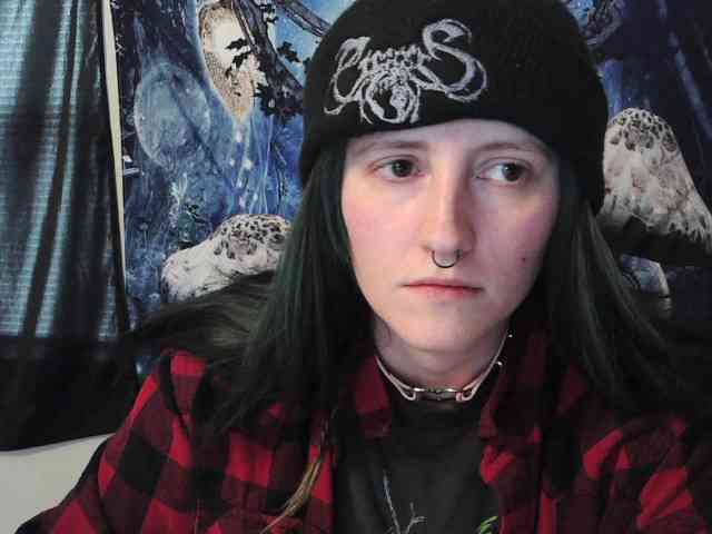 stormythunder webcam