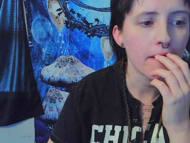 stormythunder webcam