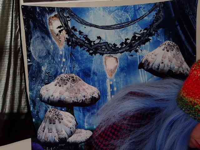 stormythunder webcam