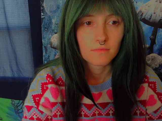 stormythunder webcam