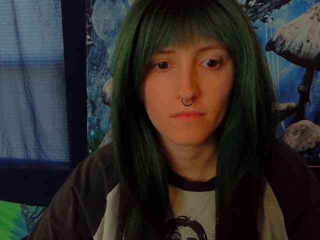 stormythunder webcam