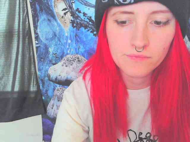 stormythunder webcam