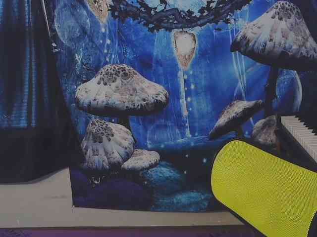 stormythunder webcam