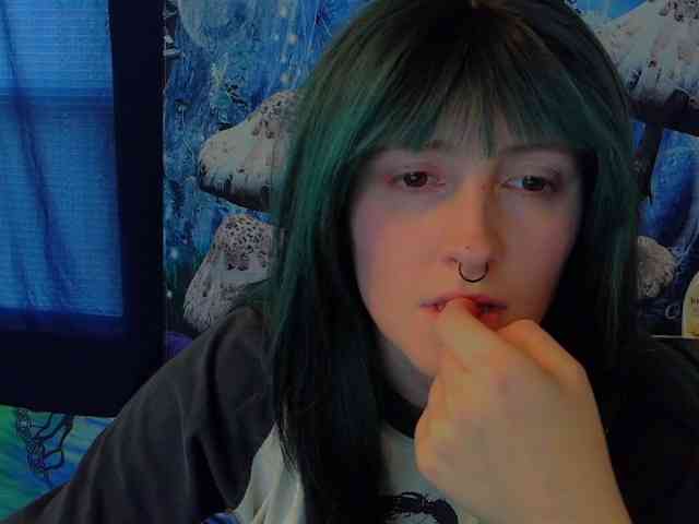 stormythunder webcam