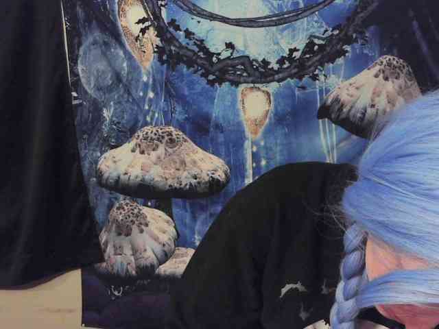 stormythunder webcam