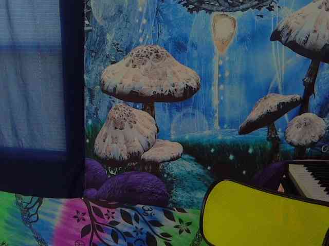 stormythunder webcam