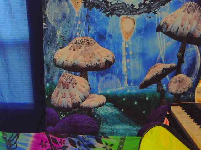 stormythunder webcam