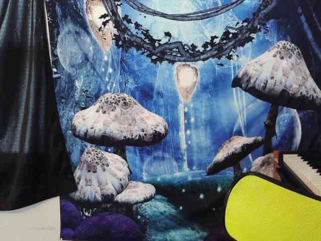 stormythunder webcam