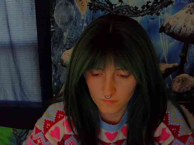 stormythunder webcam