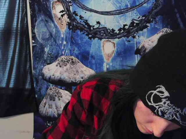 stormythunder webcam