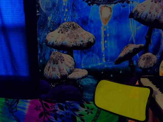 stormythunder webcam