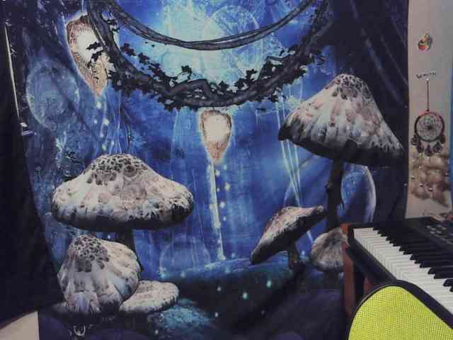 stormythunder webcam