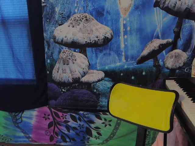 stormythunder webcam