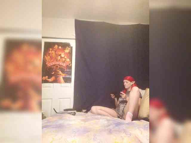 stormythunder webcam