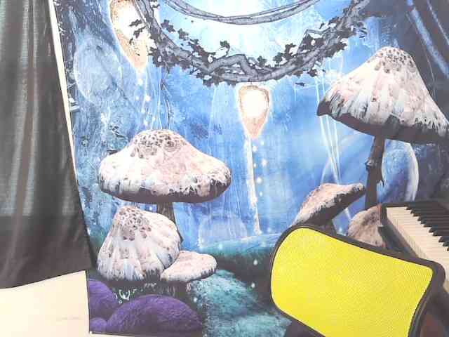 stormythunder webcam