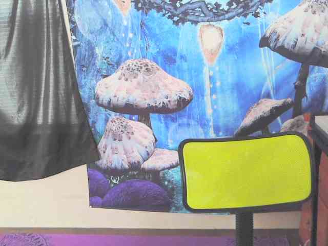 stormythunder webcam