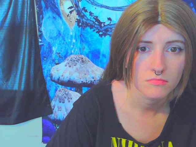 stormythunder webcam