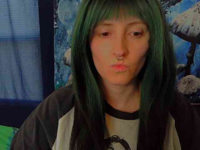 stormythunder webcam