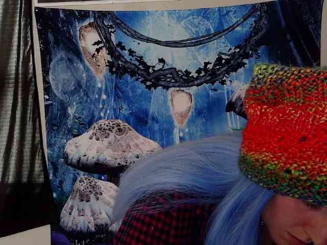 stormythunder webcam