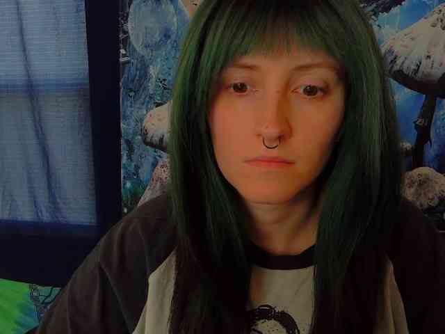 stormythunder webcam