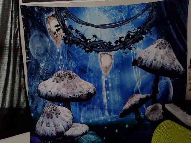 stormythunder webcam