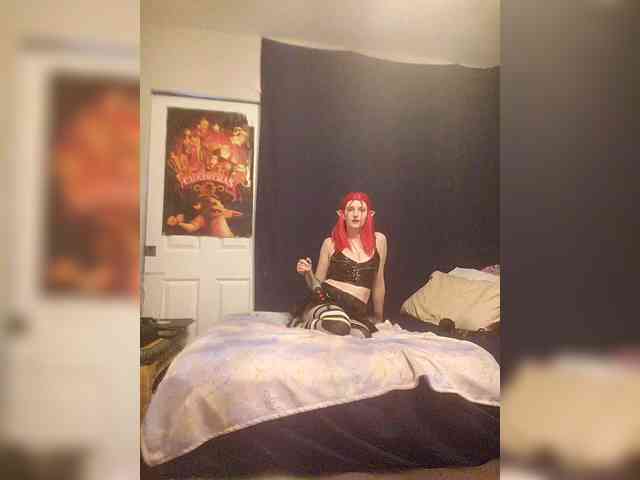 stormythunder webcam