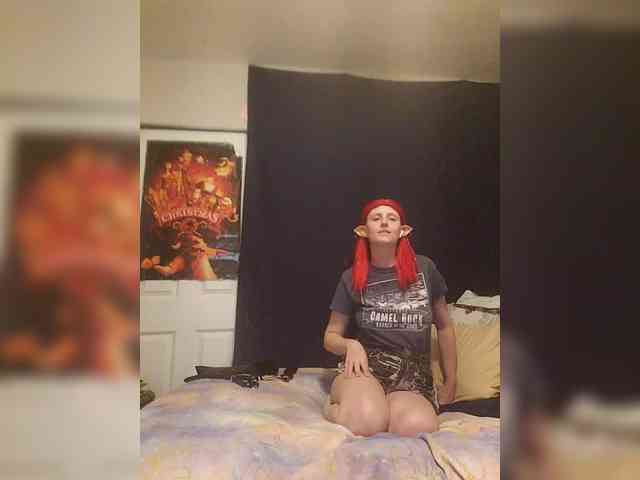 stormythunder webcam
