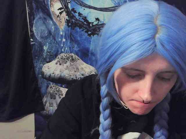 stormythunder webcam