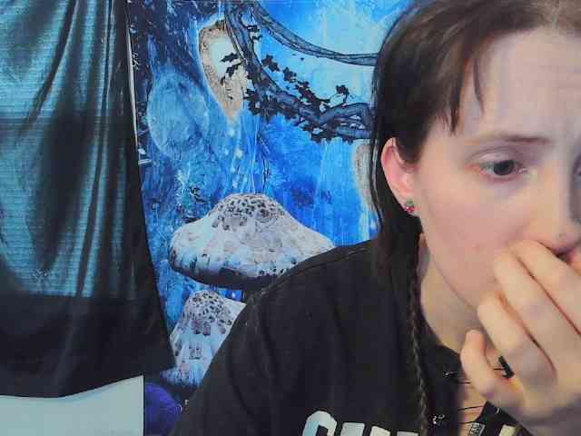 stormythunder webcam