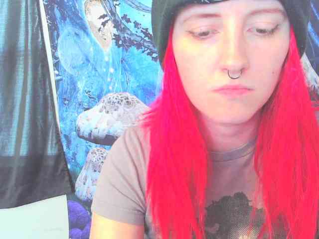 stormythunder webcam