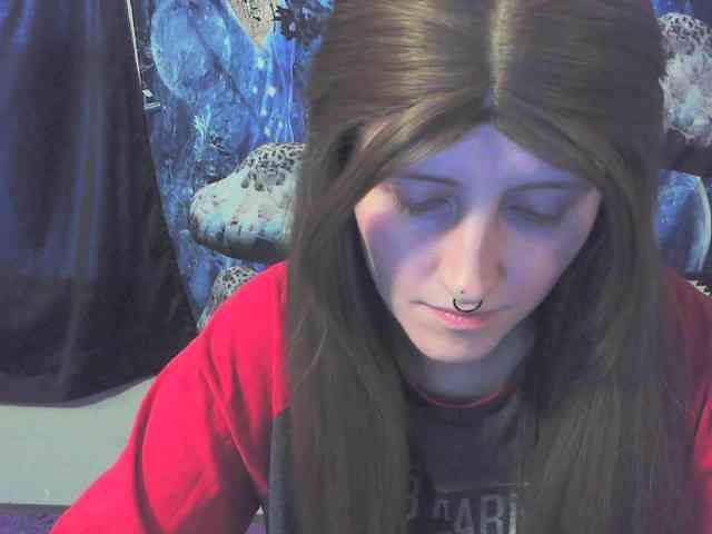 stormythunder webcam