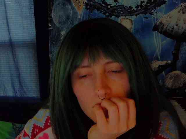 stormythunder webcam