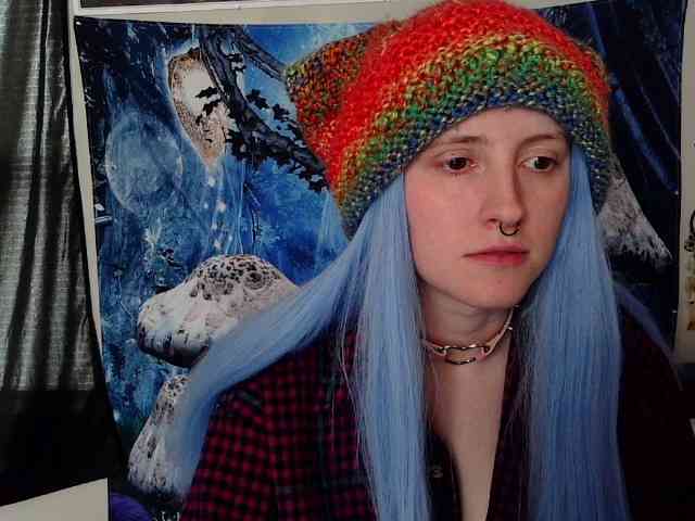 stormythunder webcam