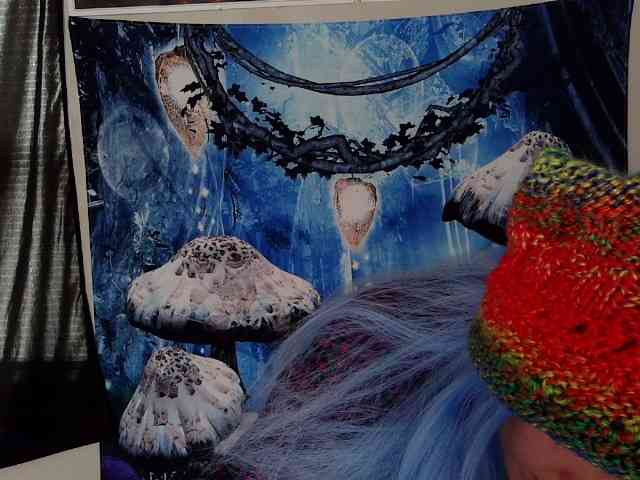 stormythunder webcam