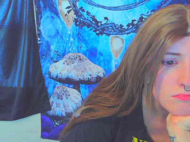 stormythunder webcam