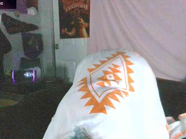 stormythunder webcam