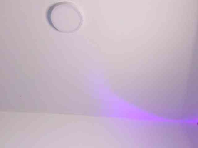 dearvenus webcam