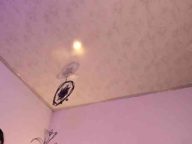 venusxadam webcam