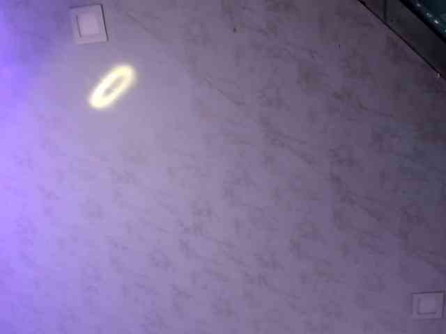 venusxadam webcam