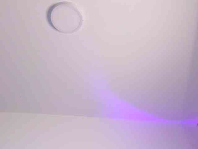 dearvenus webcam