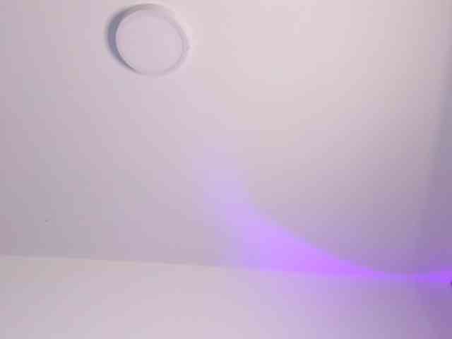 dearvenus webcam