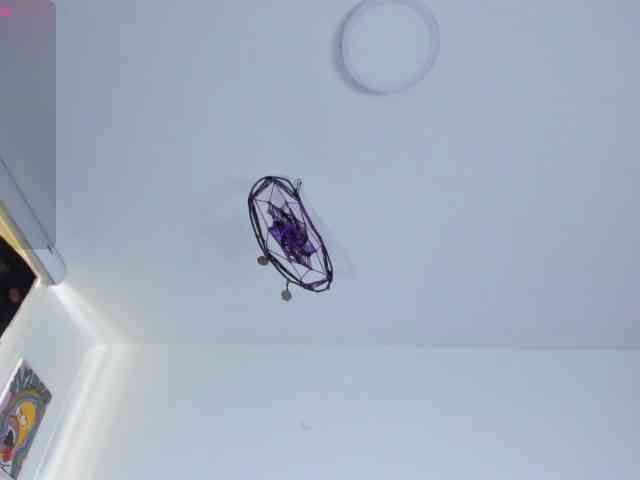 venusxadam venusxadam