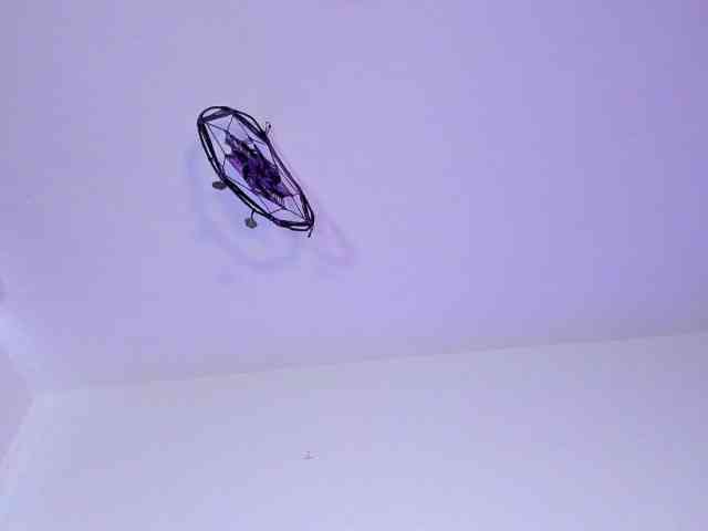 venusxadam venusxadam